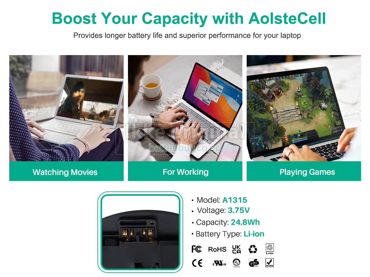 Apple iPad 1 batteri